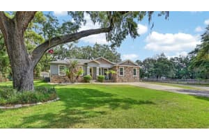 13008 Shadow Run Blvd, RIVERVIEW 13008 Shadow Run Blvd, RIVERVIEW