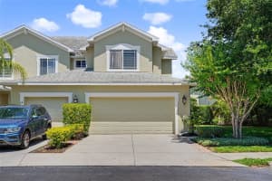 441 Harbor Ridge Dr, PALM HARBOR 441 Harbor Ridge Dr, PALM HARBOR
