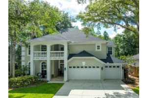 15303 Hidden Arbor Ct, ODESSA 15303 Hidden Arbor Ct, ODESSA