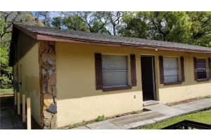 8203 N Klondyke St, TAMPA