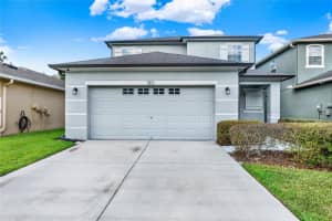 7873 Tuscany Woods Dr, TAMPA
