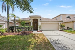15950 Leatherleaf Ln, LAND O LAKES 15950 Leatherleaf Ln, LAND O LAKES