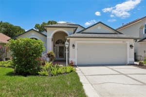 10216 Charleston Corner Rd, TAMPA 10216 Charleston Corner Rd, TAMPA