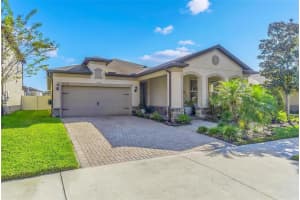 18744 Birchwood Groves Dr, LUTZ 18744 Birchwood Groves Dr, LUTZ