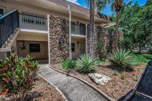 820 Patricia Ave #109, DUNEDIN 820 Patricia Ave #109, DUNEDIN