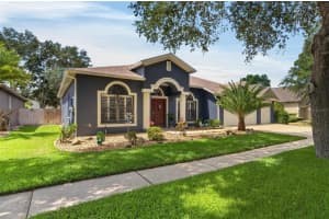 2819 Laurel Leaf Dr, VALRICO