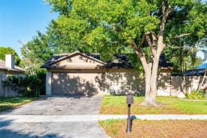 647 Bonnie Blvd, PALM HARBOR 647 Bonnie Blvd, PALM HARBOR