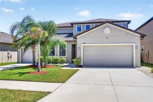 13415 White Sapphire Rd, RIVERVIEW