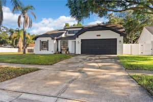 12202 Wildbrook Dr, RIVERVIEW 12202 Wildbrook Dr, RIVERVIEW