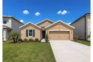 14127 Arbor Pines Dr, RIVERVIEW
