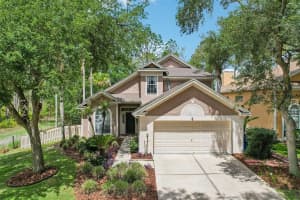 17702 Long Ridge Rd, TAMPA 17702 Long Ridge Rd, TAMPA