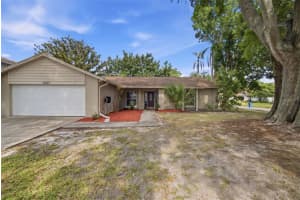 7327 Sunshine Cir, TAMPA 7327 Sunshine Cir, TAMPA
