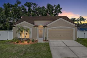 4552 Steel Dust Ln, LUTZ