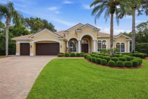 9409 Tree Tops Lake Rd, TAMPA 9409 Tree Tops Lake Rd, TAMPA