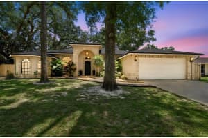 3602 Arlington Oaks Ct, TAMPA 3602 Arlington Oaks Ct, TAMPA