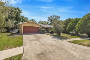 15804 Ironware Pl, TAMPA 15804 Ironware Pl, TAMPA