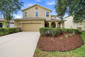 24115 San Giovanni Dr, LAND O LAKES