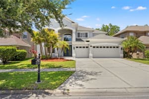 11621 Renaissance View Ct, TAMPA 11621 Renaissance View Ct, TAMPA