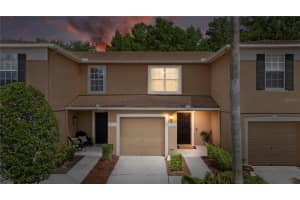 4229 Winding River Way, LAND O LAKES 4229 Winding River Way, LAND O LAKES