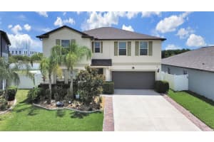 10384 Scarlet Skimmer, RIVERVIEW