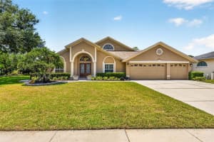 9436 Rockrose Dr, TAMPA 9436 Rockrose Dr, TAMPA