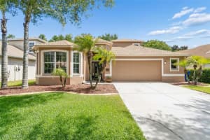 15907 Pond Rush Ct, LAND O LAKES