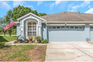 19238 Weymouth Dr, LAND O LAKES 19238 Weymouth Dr, LAND O LAKES