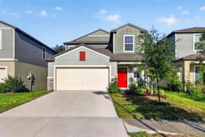 12621 Maple Bonsai Dr, RIVERVIEW 12621 Maple Bonsai Dr, RIVERVIEW