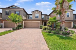 28504 Tranquil Lake Cir, WESLEY CHAPEL 28504 Tranquil Lake Cir, WESLEY CHAPEL