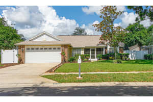 936 Galliton Way, PALM HARBOR 936 Galliton Way, PALM HARBOR