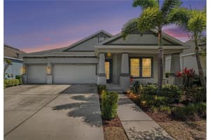 204 Shell Creek Ct, APOLLO BEACH 204 Shell Creek Ct, APOLLO BEACH
