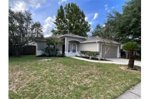 26815 Roseann Pl, LUTZ
