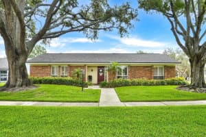 11816 Lipsey Rd, TAMPA