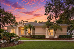 10232 Estuary Dr, TAMPA 10232 Estuary Dr, TAMPA