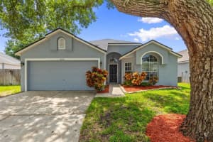 8606 Fawn Creek Dr, TAMPA 8606 Fawn Creek Dr, TAMPA