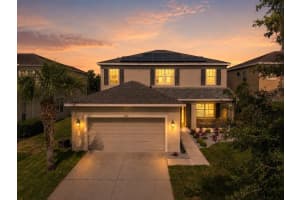 7223 Blue Beech Dr, RIVERVIEW 7223 Blue Beech Dr, RIVERVIEW