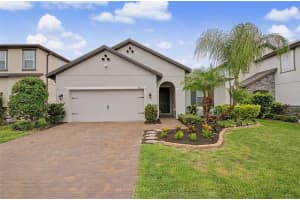 11523 Navel Orange Way, TAMPA 11523 Navel Orange Way, TAMPA