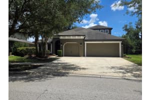15723 Starling Water Dr, LITHIA 15723 Starling Water Dr, LITHIA
