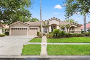 17861 Arbor Greene Dr, TAMPA