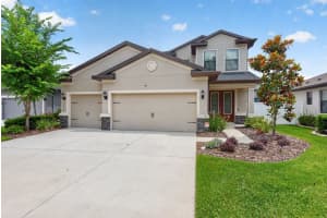12636 Sourwood Way, NEW PORT RICHEY 12636 Sourwood Way, NEW PORT RICHEY