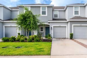 34202 Polacca Ln, WESLEY CHAPEL 34202 Polacca Ln, WESLEY CHAPEL