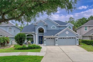 11721 Gothic Ln, TAMPA 11721 Gothic Ln, TAMPA