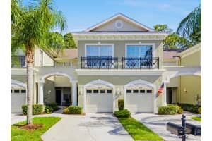 14244 Waterville Cir, TAMPA