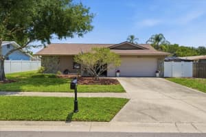 4218 Hollowtrail Dr, TAMPA