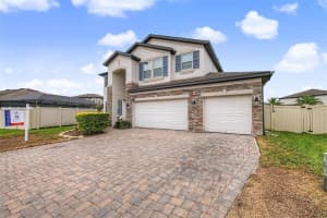 19462 Rosemoor Ave, LUTZ 19462 Rosemoor Ave, LUTZ