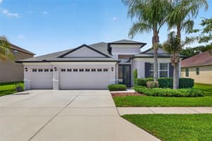 27225 Sora Blvd, WESLEY CHAPEL