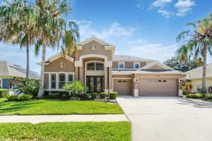 8758 Crystal Creek Ct, LAND O LAKES 8758 Crystal Creek Ct, LAND O LAKES