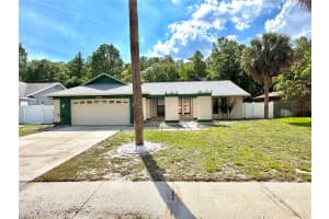 15306 Winterwind Dr, TAMPA