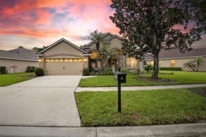16525 Bridgewalk Dr, LITHIA 16525 Bridgewalk Dr, LITHIA