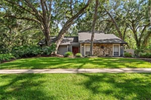 2503 High Oaks Ln, LUTZ 2503 High Oaks Ln, LUTZ